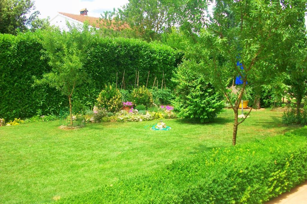 Apartma Mirna *